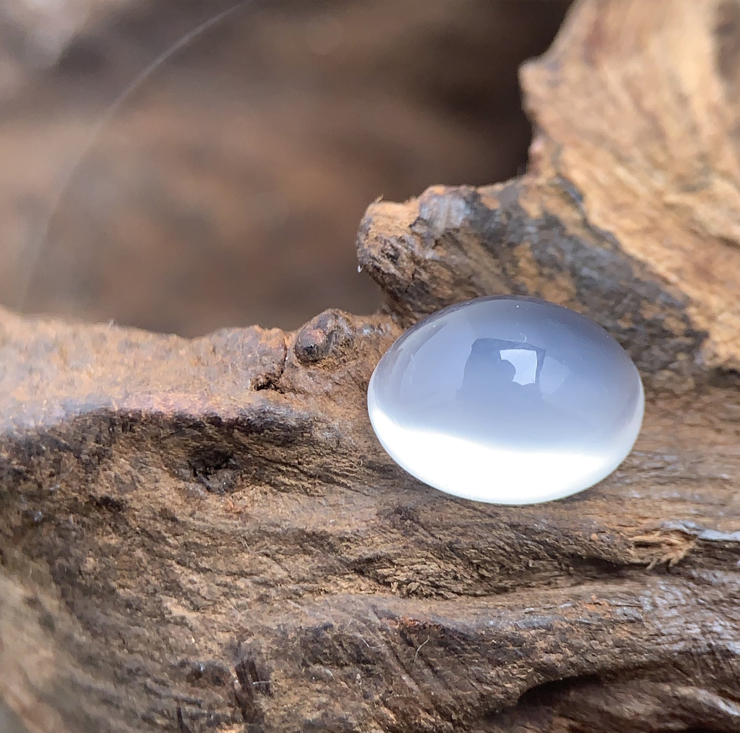 1.45ct Natural Moonstone – Transparent Oval Cabochon  – Sri Lanka
